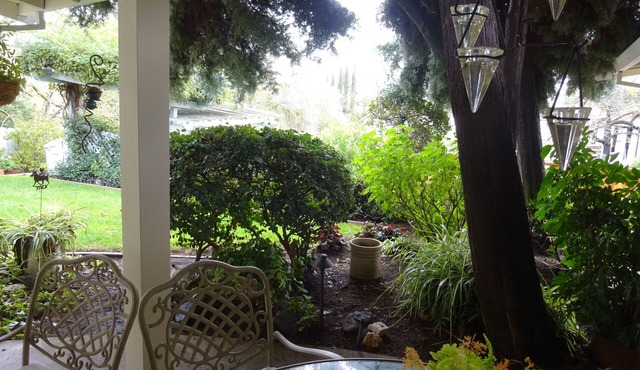 Alamo Guesthouse Private and Secluded. Country living next to the city life.