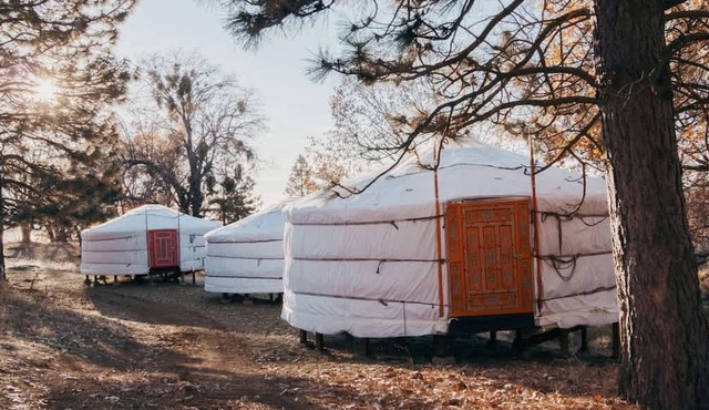 Amazing Yurt on a Secluded Nature Retreat for an Unforgettable Escape in Nature in Dunlap, California