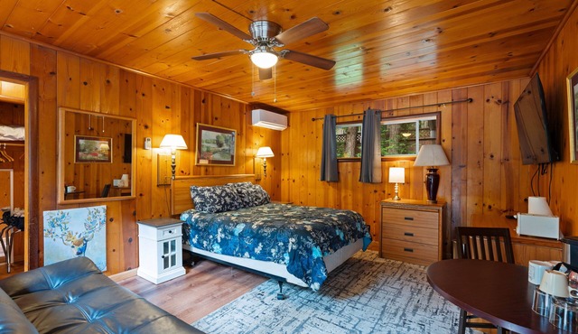 Ameer - room Masoods Lodge