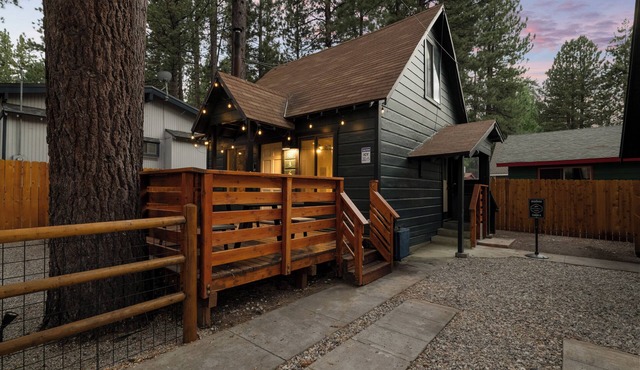 Bear and Birdie's Pet Friendly Cabin w/Hot Tub