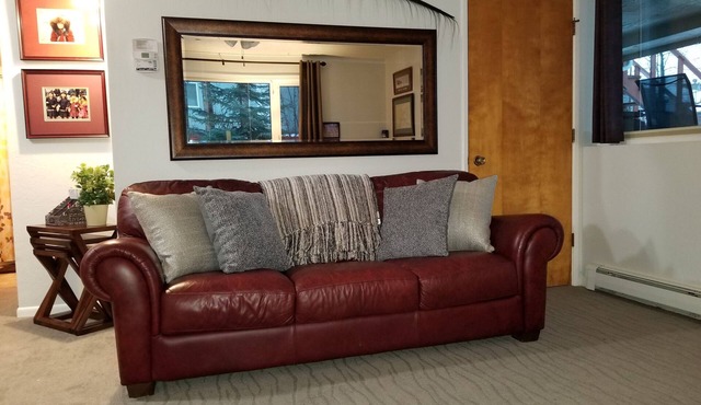 Beautiful one bedroom Apt, Fully Furnished With Private Entrance.Ground floor . in Eagle River