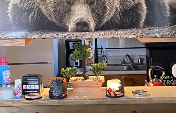 Big bear home