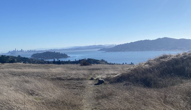 Brand new, 1 bedroom cottage with view of San Francisco Bay.