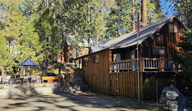 Captain's Cove. Cozy cabin in the Village of Shaver Lake. Pet friendly!