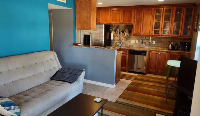 Central Hyde Park Condo in Austin