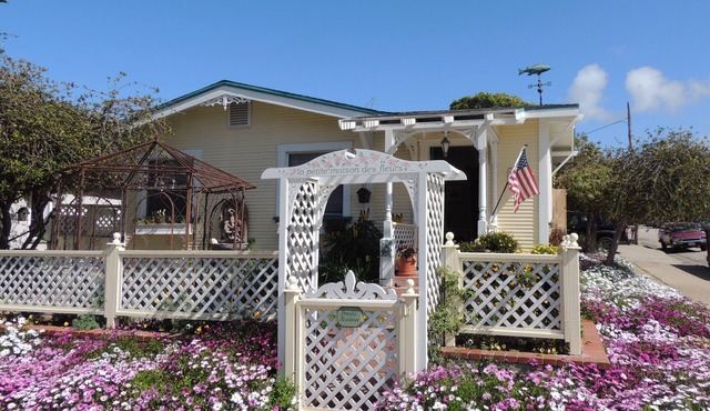 Charming & Historic Beach Cottage - Oasis in the Heart of Downtown