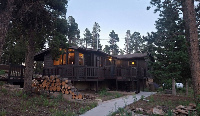 Charming Mountain Cabin- Modern and Private Fully remodeled, high-speed internet in Golden