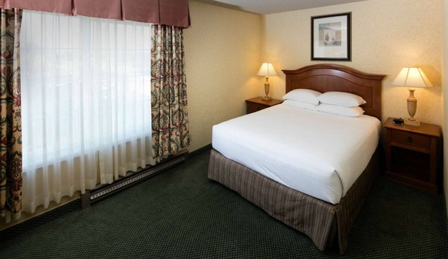 Charming Pet-Friendly Room Near Redwood Forest - Easy Access to Hwy 101 in Eureka