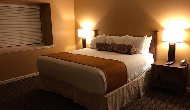 Clearlake - Watersports by day, wine gems by night in Nice