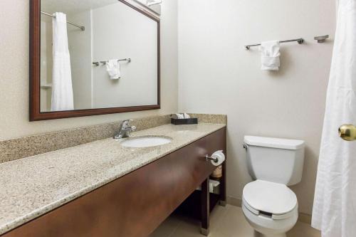 Comfort Inn & Suites Near Fallon Naval Air Station