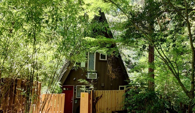 Cottage on the Creek/Nestled Under the Redwoods