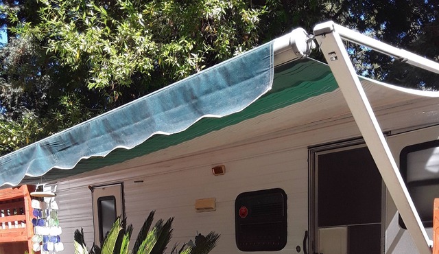 Cozy Trailer Among The Redwoods