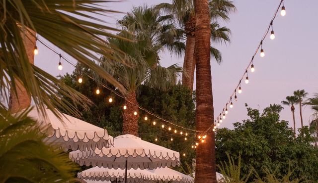 Dive Palm Springs Hotel - 21 & Over