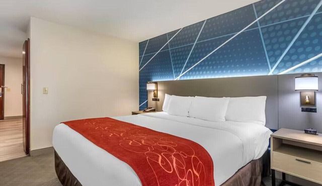Downtown Sacramento King Suite w/Breakfast & Pool