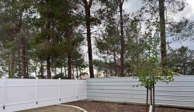 Escape to Desert Serenity: Quiet Home Amongst Trees and Open Desert in Lancaster