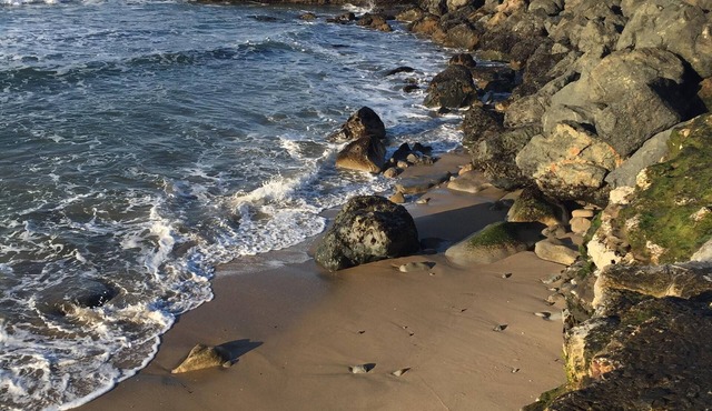 Fantastic Location, steps to ocean, clean comfortable house.