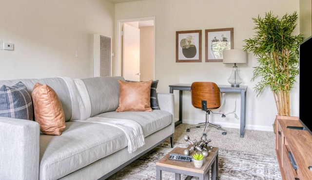 Furnished 1BR in Walnut Creek + Pool