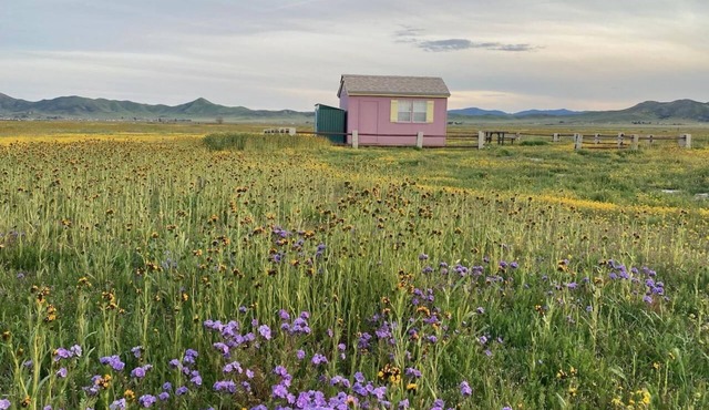Glamping in the Carrizo Plains