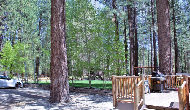 Goldmine Lodge