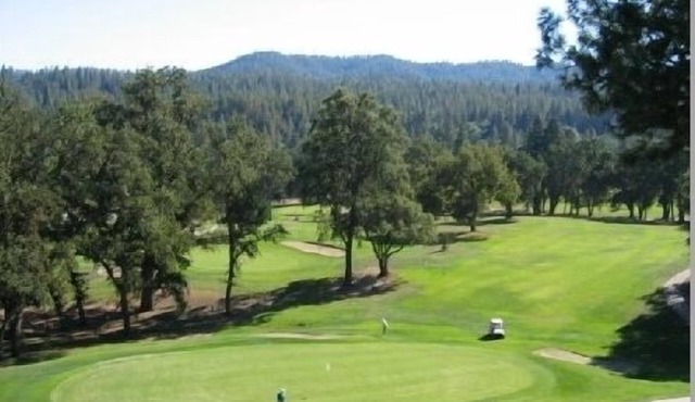 Golf Course Home at Pine Mtn.Lake -Weekly rental