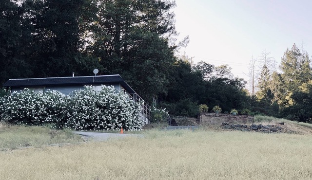 Great cabin located in the middle of wine country, St. Helena & Calistoga in Santa Rosa