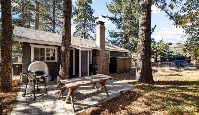 Highbearnation Cabin, 1 Night Free!