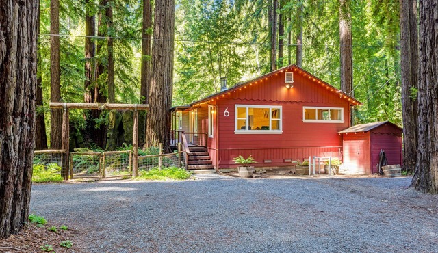 Idyllic creekside getaway- cozy, cute & updated