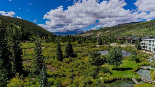 Inas Way Townhomes Unit C in Keystone