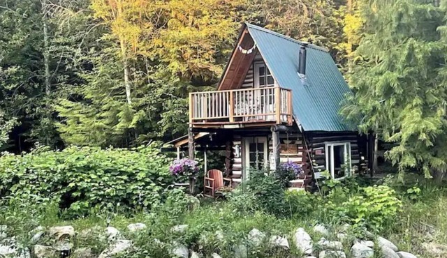 La Luna Tiny Cabin in Sagle