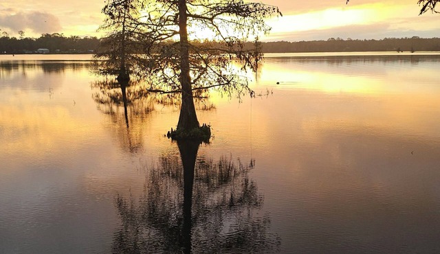 Lake front lot for rent. in DeRidder