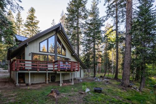 Little Meadow Cabin Rustic Secluded Cozy Retreat