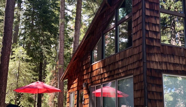 LOCATION! - PETS - FAST WIFI - CLOSE TO SKI/BEACH - PELOTON BIKE!