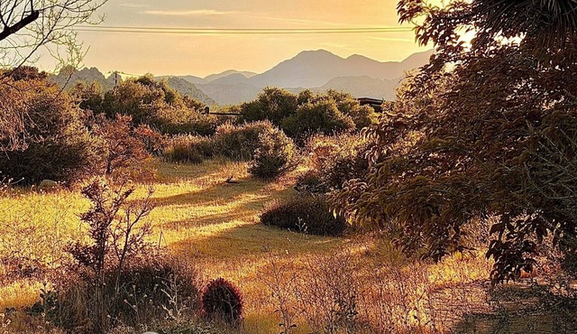 Luxury Pioneertown Ranch + Spa Under Joshua Trees + Star Bed +Walk to Pappy's