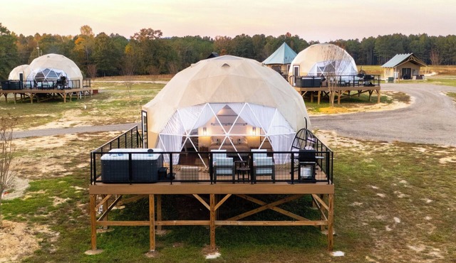 Modern Geodesic Dome: Hot Tub & Lake Views in Cedar Bluff