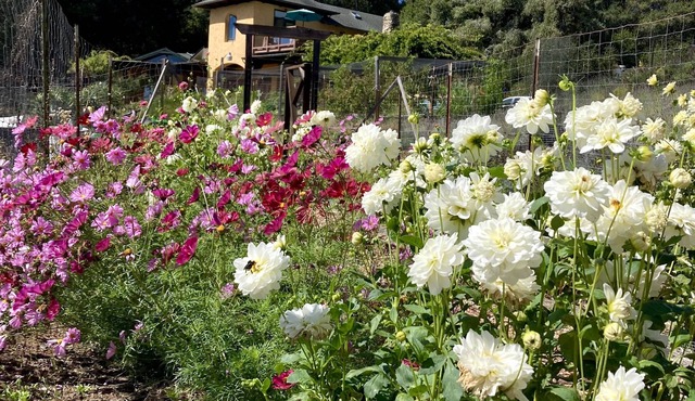 Monterey Bay Farm Retreat! Best access to Monterey & Santa Cruz attractions.