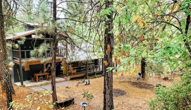 NEW! Peaceful Cabin in the Woods in Chattaroy