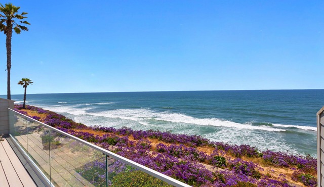 NEW RENO OCEAN FRONT -AC, direct beach access, heated pool, hot tub, pickle ball in Encinitas