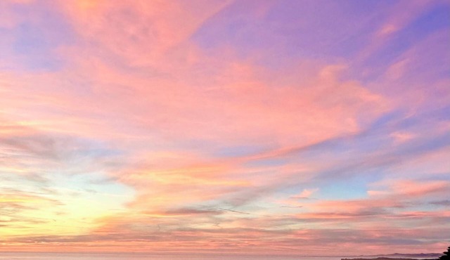Ocean View Guesthouse with King sized bed & 5 min walk to sea+Fiscalini trails.