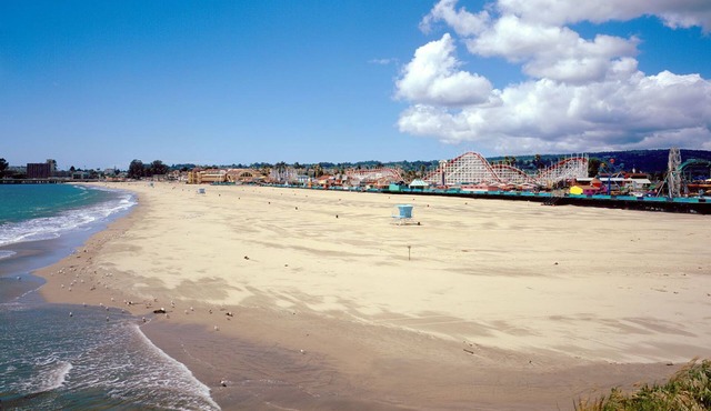 OCEANFRONT@ SANTA CRUZ BEACH *Complete Privacy* Backyard, Beach, Views, DOG OK!