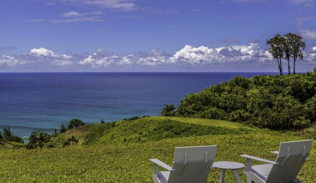 Panoramic views, lush mountains and blue waters in Kilauea