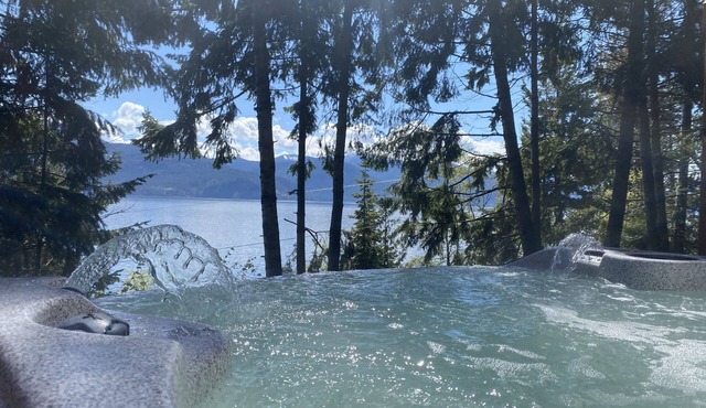 Perfect Combination Ski/Lake/Mountain Cabin - Lake Pend Oreille Idaho in Sagle