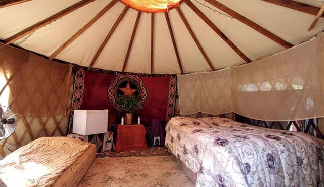 Picturesque Yurt near San Francisco Incredible for a Unique Glamping Experience