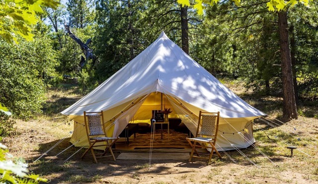 Pioneering Pet-Friendly Glamping: Mt. Laguna's Original Nature Lovers' Retreat