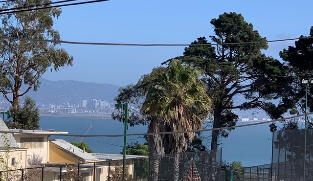 Potrero Hill View Home on the Park