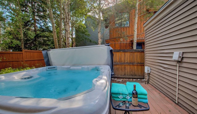 Private Jacuzzi, Single Family Home 2 blocks to Center Downtown, Family Friendly in Frisco