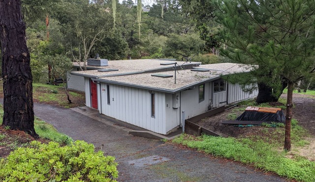 Private location in wooded area-five minutes to Carmel Beach