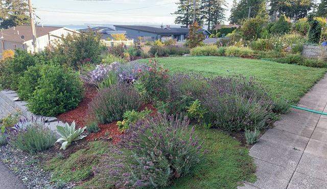 Quiet, Spacious, Private top floor waterview in Bellingham