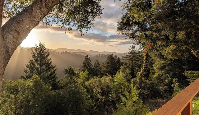 Redwood Haven: Your Santa Cruz Mountains Gateway