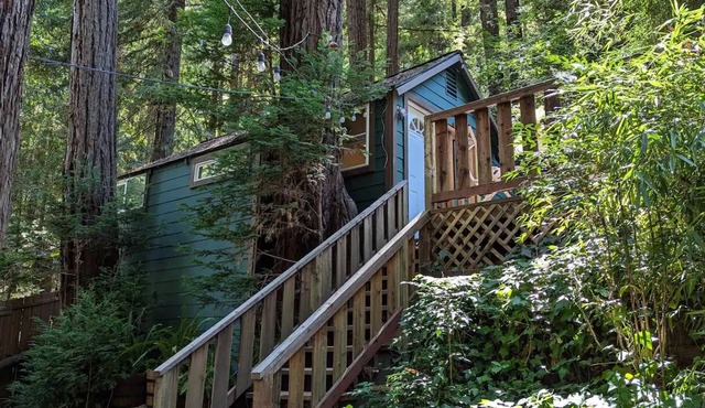 Redwood Treehouse-2 beds 1.5 bath-full kitchen-2 outdoor areas-work station WiFi