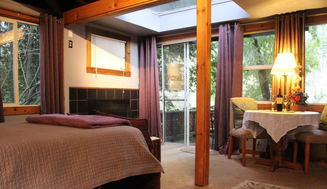 Romantic Getaway in Russian River; Dog Friendly!